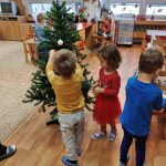 phoca_thumb_m_krteci stromeek 9 Fotogalerie